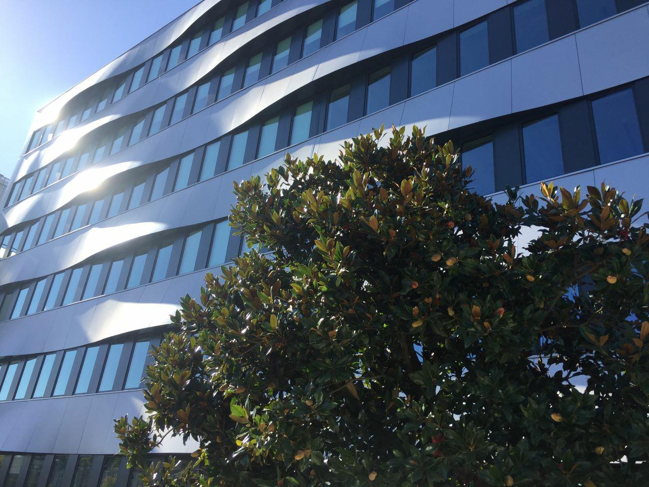 Bureau Lyon 691m² Location bureau Lyon Rhône OLBUR2419115 6